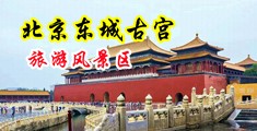 长腿美女被我肏得嗷嗷叫中国北京-东城古宫旅游风景区